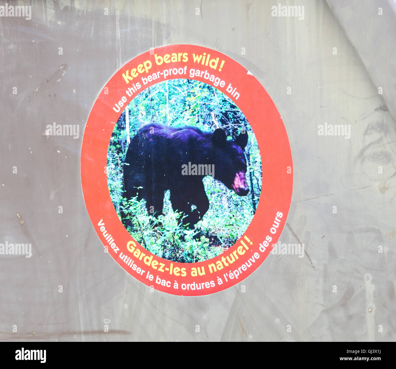 Un segno su un orso prova immondizia o spazzatura Jasper Alberta Canada Foto Stock