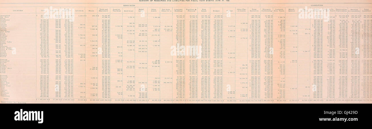 Relazione annuale dello stato esaminatore e la relazione annuale del dipartimento bancario per l'anno fiscale conclusosi il 30 giugno (1922) Foto Stock