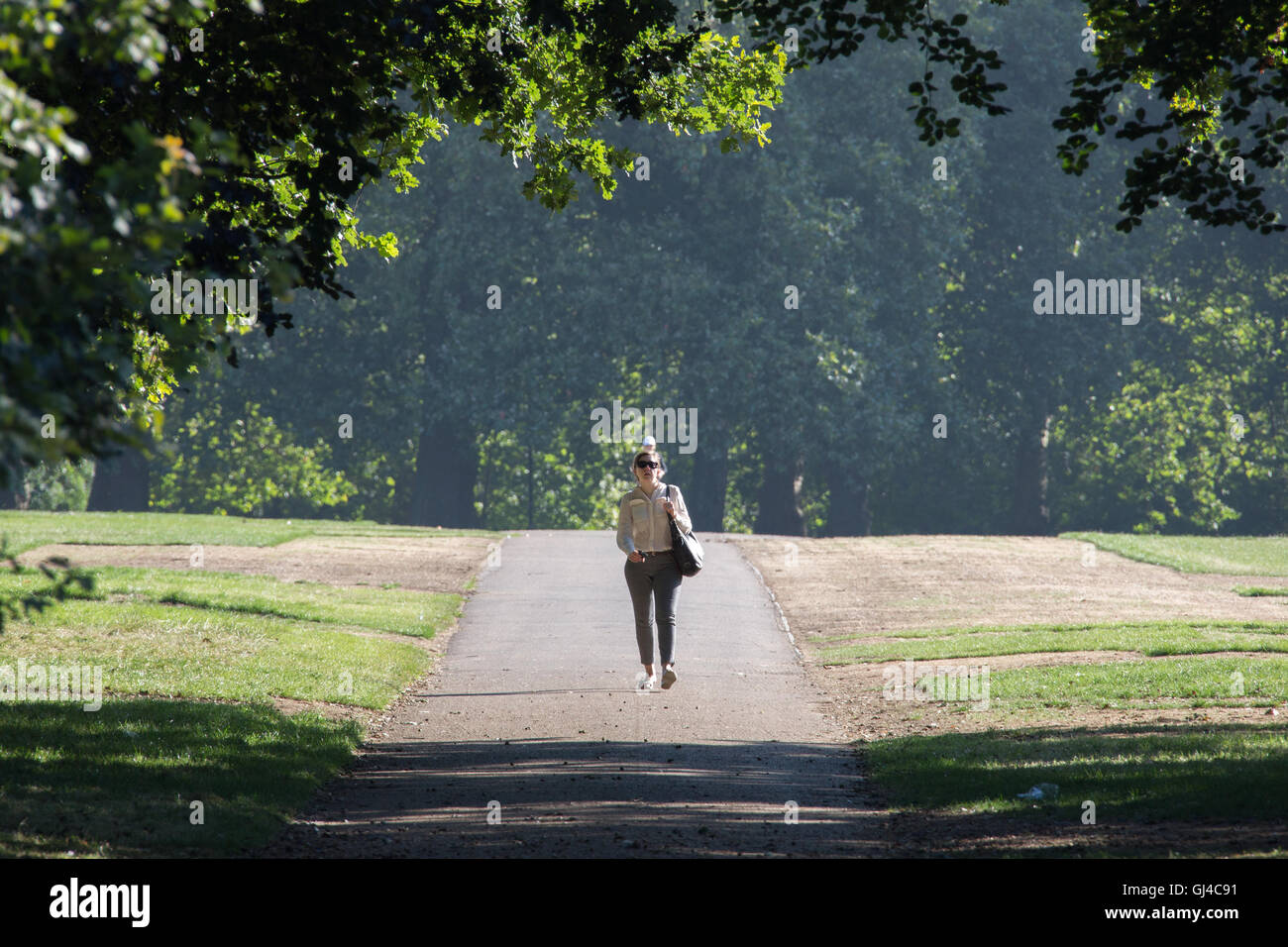 Londra, Regno Unito. 12 Ago, 2016. Una persona che cammina attraverso durante il bel tempo in Hyde Park a Londra Credito: Roger Garfield/Alamy Live News Foto Stock