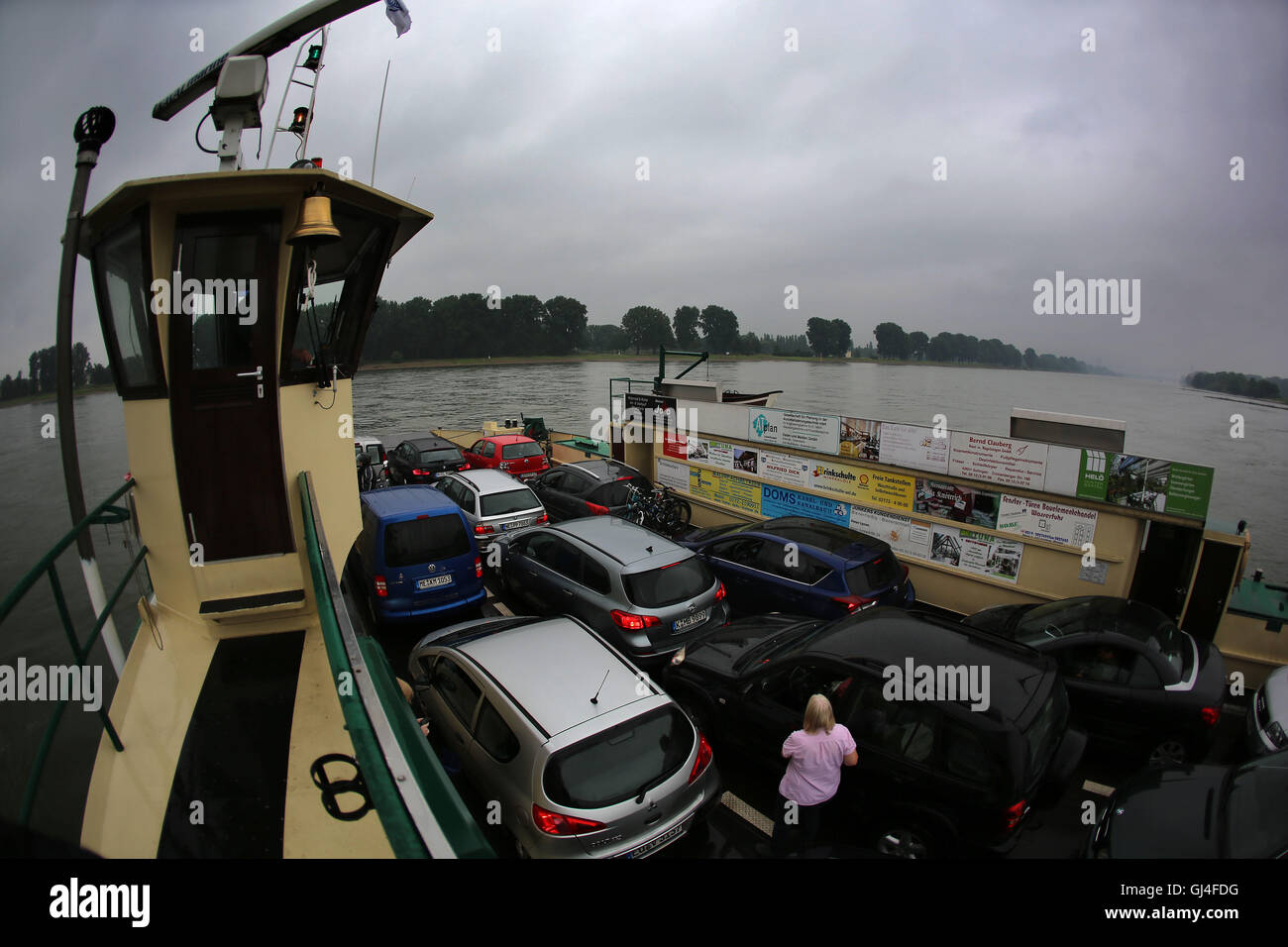 Colonia, Germania. 12 Ago, 2016. Il traghetto del Reno tra Langel di Colonia e Leverkusen Hitdorf attraversando il fiume Reno a Colonia, Germania, 12 agosto 2016. A causa della chiusura del ponte sul Reno dell'autostrada A1, numerose vetture utilizzare il traghetto. Foto: OLIVER BERG/dpa/Alamy Live News Foto Stock