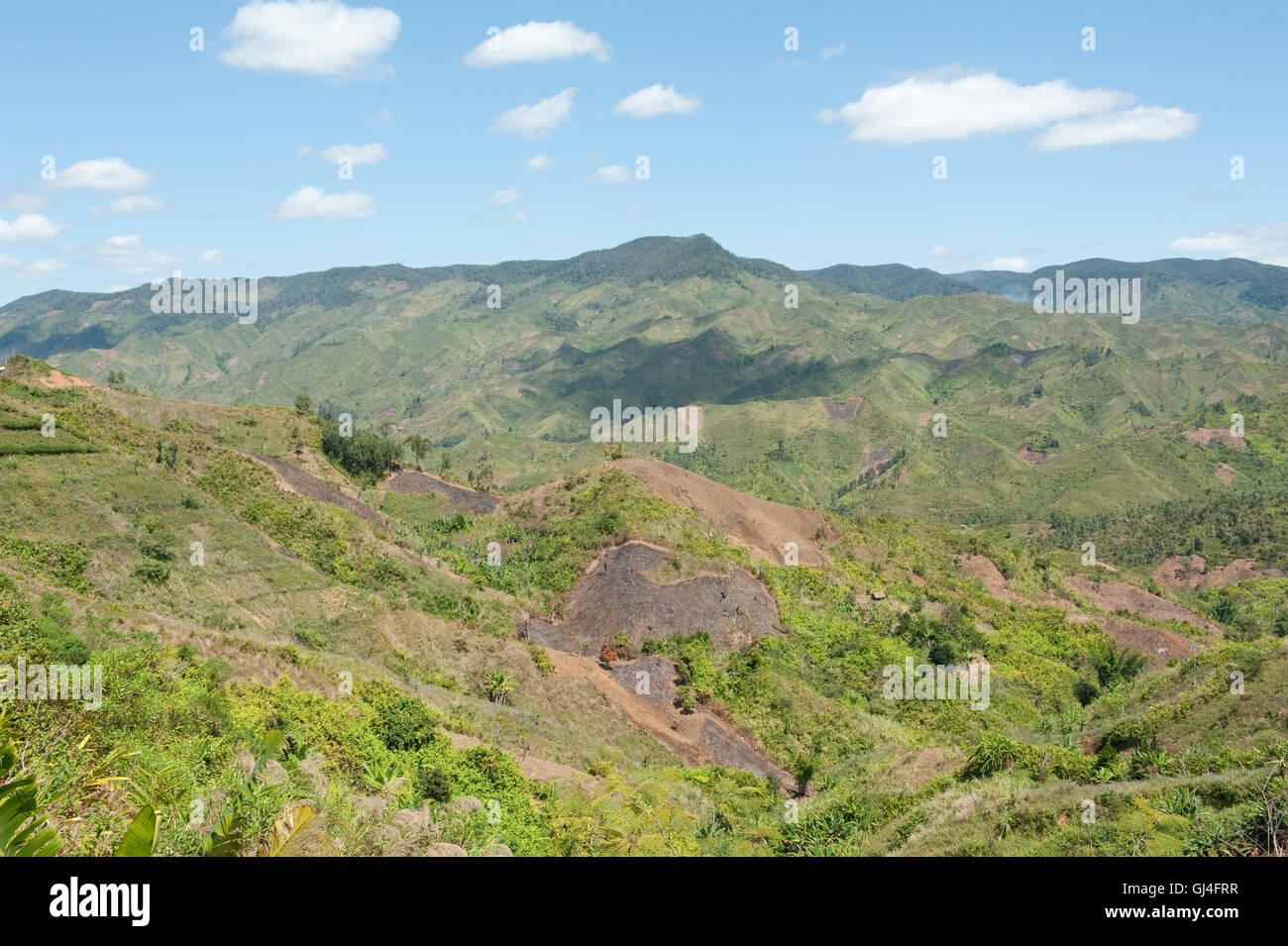 Paesaggio Slash & Burn Madagascar Foto Stock