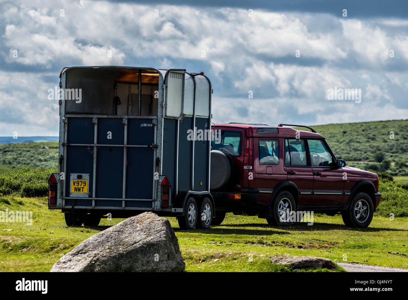 Cavallo e il rimorchio su Dartmoor il paesaggio verde. Foto Stock