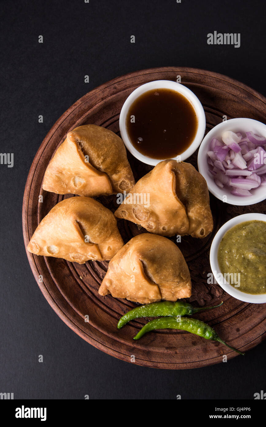 UPKOCH 4 Pezzi Porta Tè Ceramica A Forma Di Conchiglia