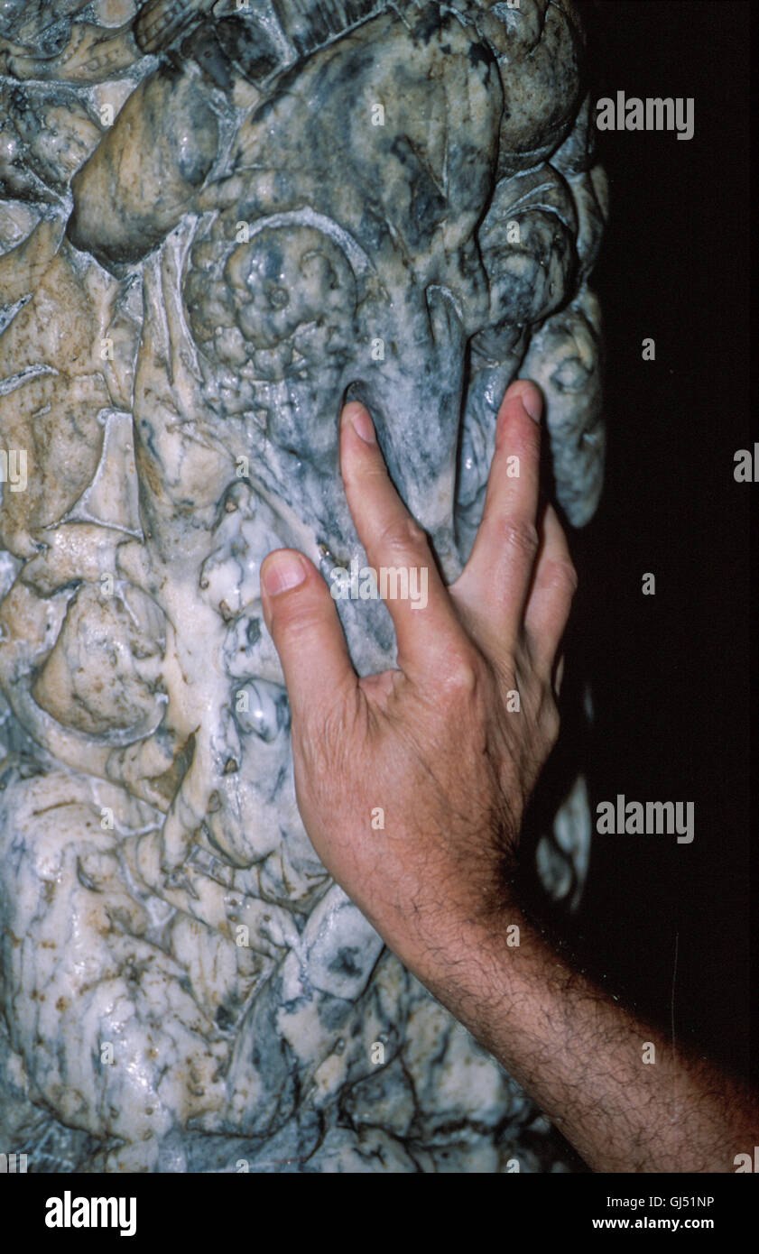 Entrando nella Cattedrale di Santiago pellegrini tradizionalmente coda per toccare il montante sotto i piedi di Santiago. Nel corso dei secoli cinque cancellare le impronte digitali sono state indossate da milioni di pellegrini che hanno followede la stessa tradizione nella colonna di granito scolpito con l'albero di Jesse. Interno della cattedrale di Santiago. La Galizia. Foto Stock
