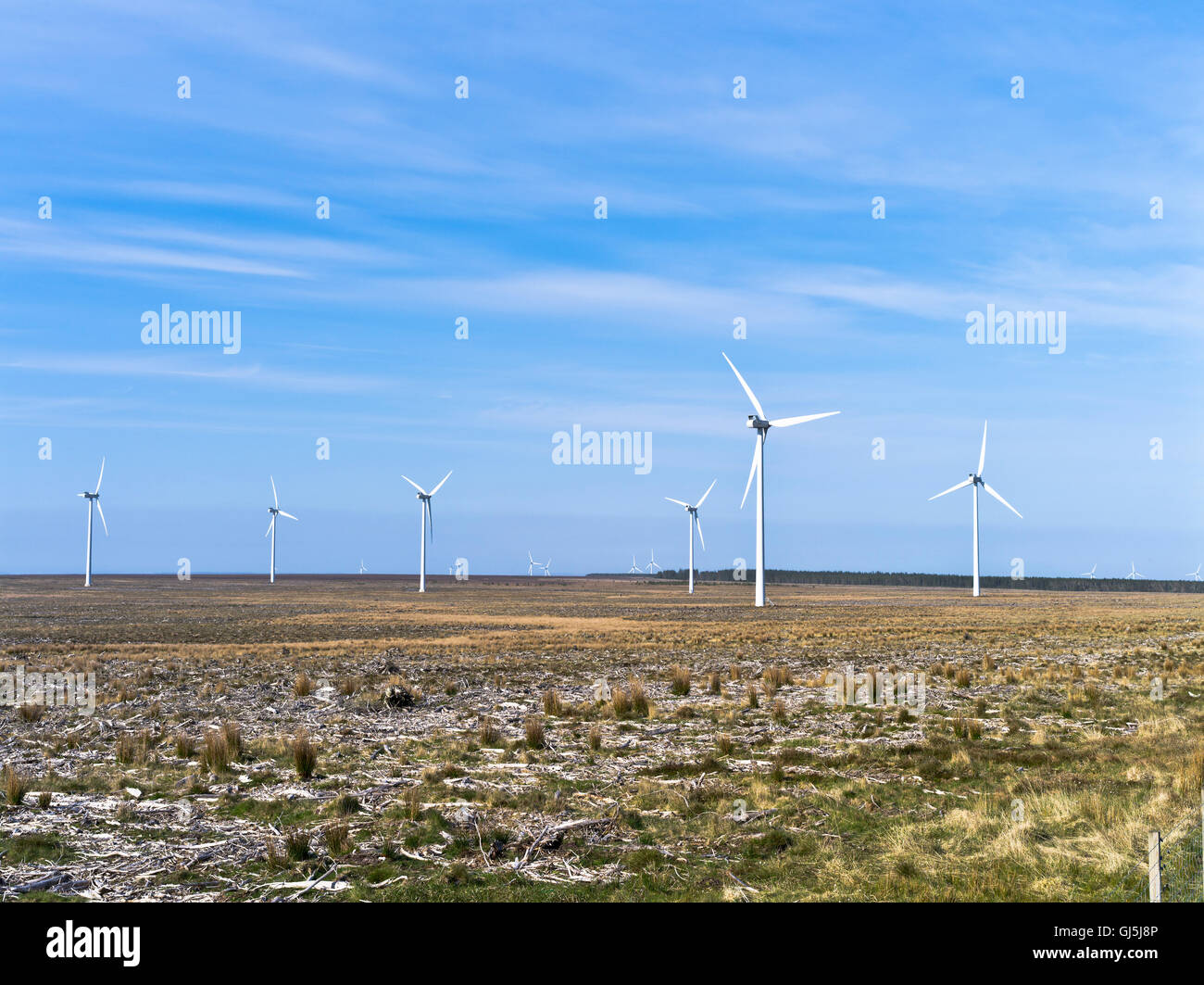 dh Windfarm CAMSTER CAITHNESS Vento Scozzese paesaggio uk scozia turbina Campo Windfarm sulla terra Gran Bretagna campagna turbine eoliche settore Foto Stock