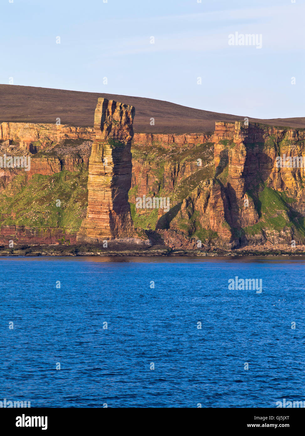 Dh il vecchio uomo di Hoy HOY ORKNEY scogliera di arenaria uk mare seacliff stack scozia scogliere Foto Stock