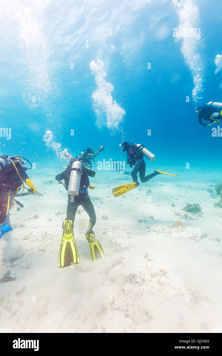 Gruppo di sub al di sopra di fondo di sabbia, Bali Foto Stock