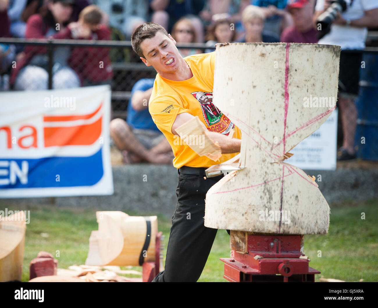 Jesse Whitehead di Waiuku, Nuova Zelanda nella macelleria permanente blocco chop evento . La Squamish logger giorno Logger eventi sportivi Foto Stock