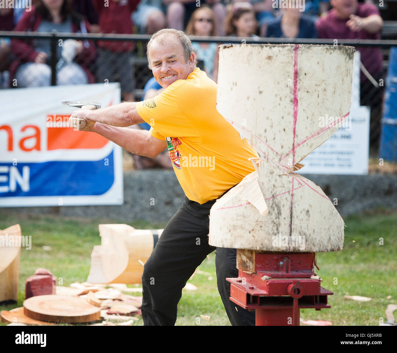 Un concorrente nella macelleria permanente blocco chop evento . La Squamish logger logger giorno evento sportivo. Foto Stock