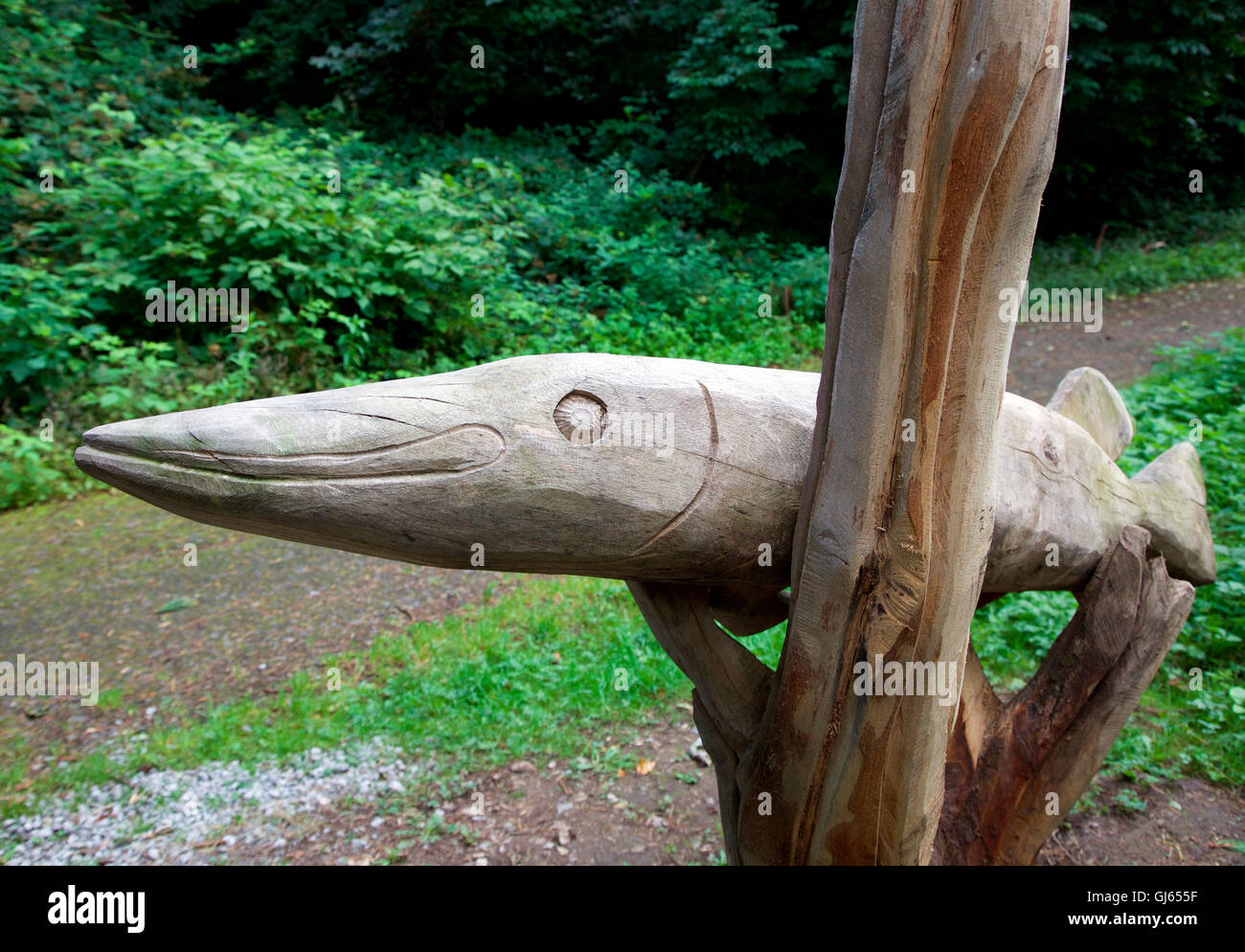 Il luccio scolpito la scultura del Lough Naglack bosco, Carrickmacross Foto Stock