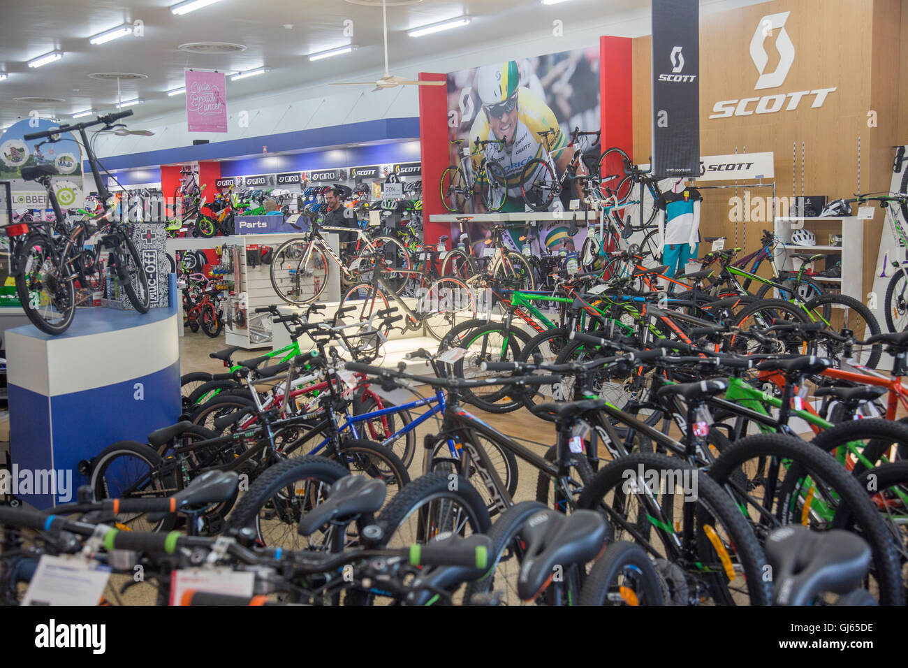 Cicli di biciclette per la vendita in avanti bike shop in Narrabeen sul  nord di Sydney, Nuovo Galles del Sud, Australia Foto stock - Alamy