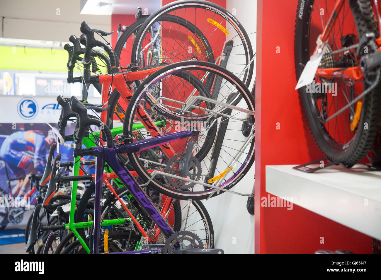 Cicli di biciclette per la vendita in avanti bike shop in Narrabeen sul  nord di Sydney, Nuovo Galles del Sud, Australia Foto stock - Alamy