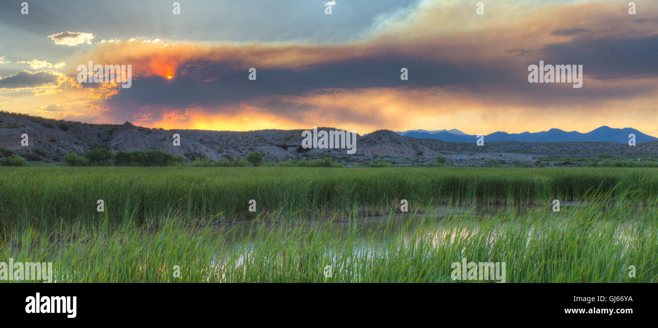 Il fumo proveniente da una foresta lontana il fuoco in una palude a Bosque del Apache National Wildlife Refuge, nuovo Messico, Stati Uniti d'America. Foto Stock