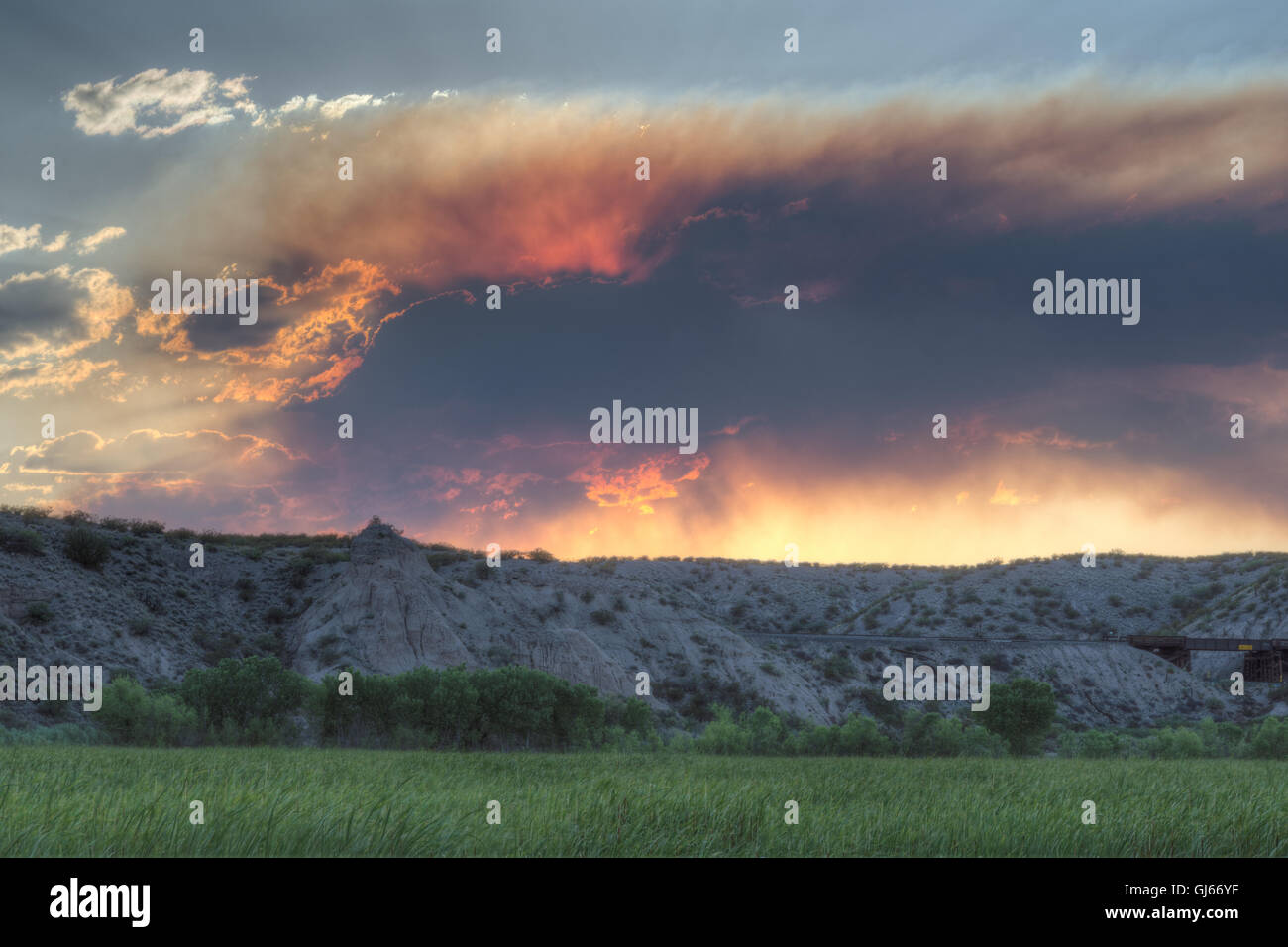 Il fumo proveniente da una foresta lontana il fuoco in una palude a Bosque del Apache National Wildlife Refuge, nuovo Messico, Stati Uniti d'America. Foto Stock