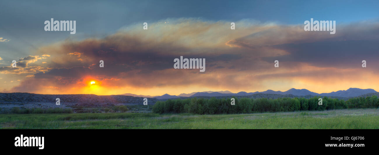 Il fumo proveniente da una foresta lontana il fuoco in una palude a Bosque del Apache National Wildlife Refuge, nuovo Messico, Stati Uniti d'America. Foto Stock