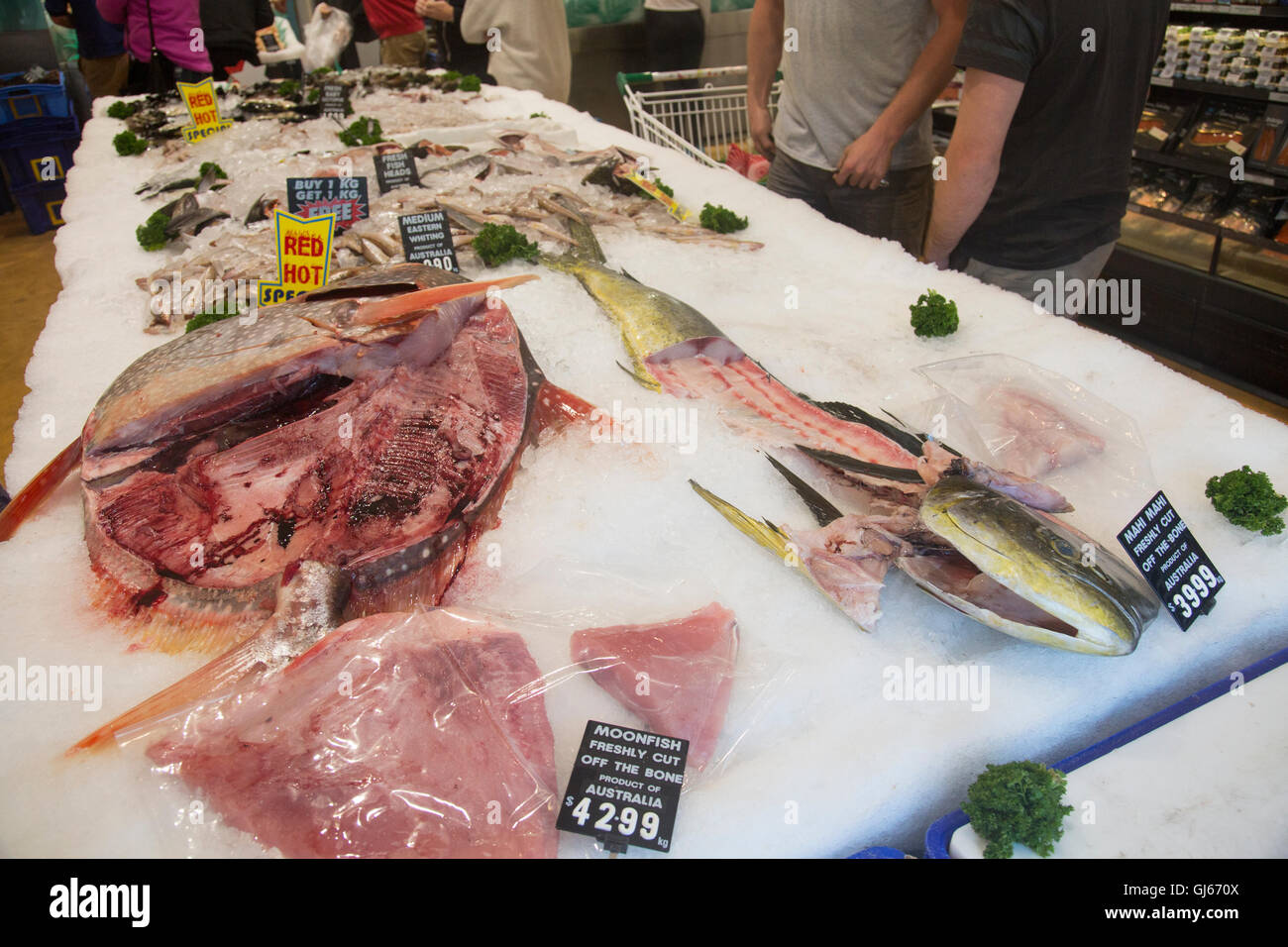 Moonfish o Opah ( lampriform pelagiche) grandi pesci colorati, qui in un pescivendolo Sydney store shop,l'Australia Foto Stock
