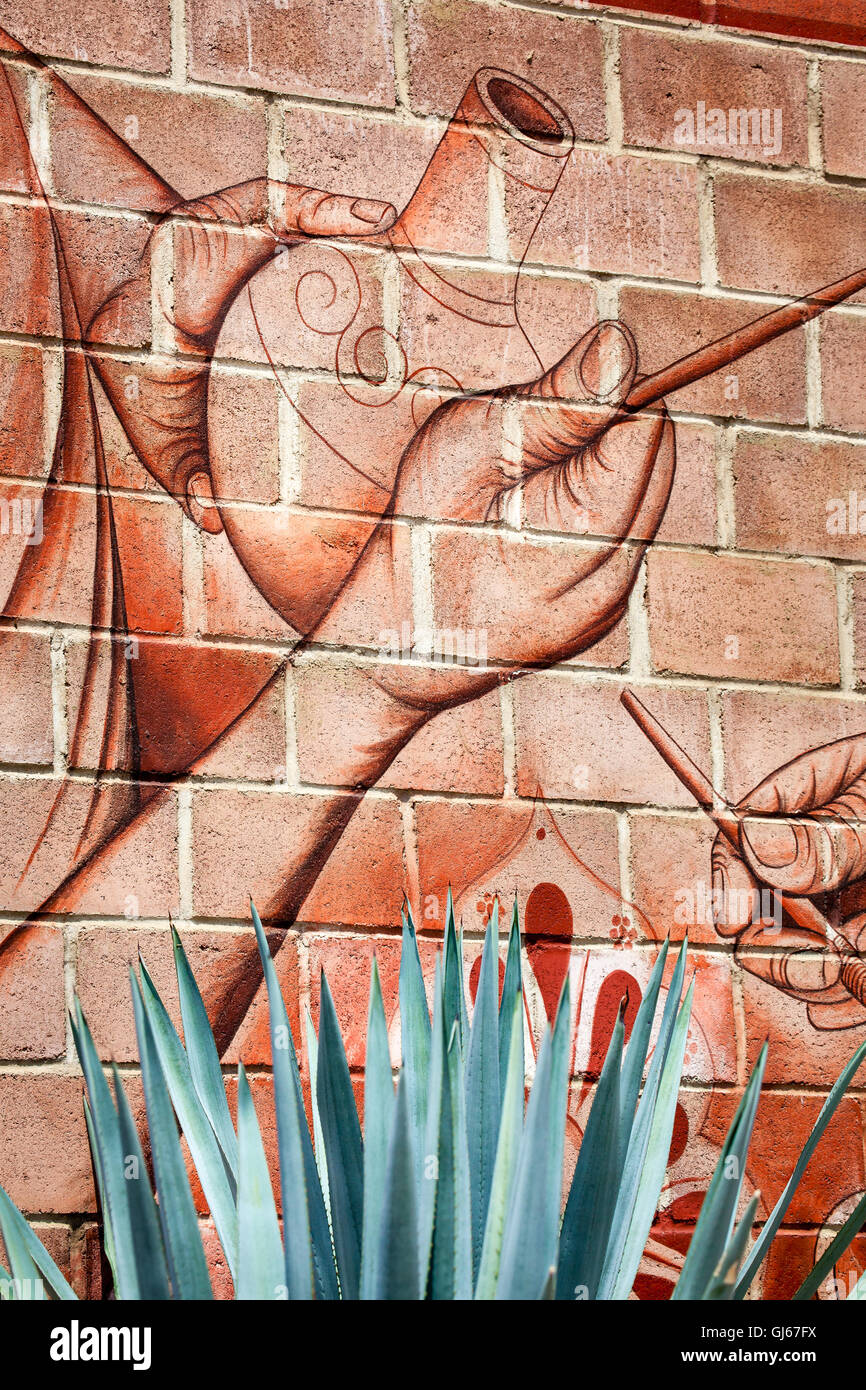 In mattoni rossi e parete agave blu cactus nella città di Tequila, Jalisco, Messico. Foto Stock