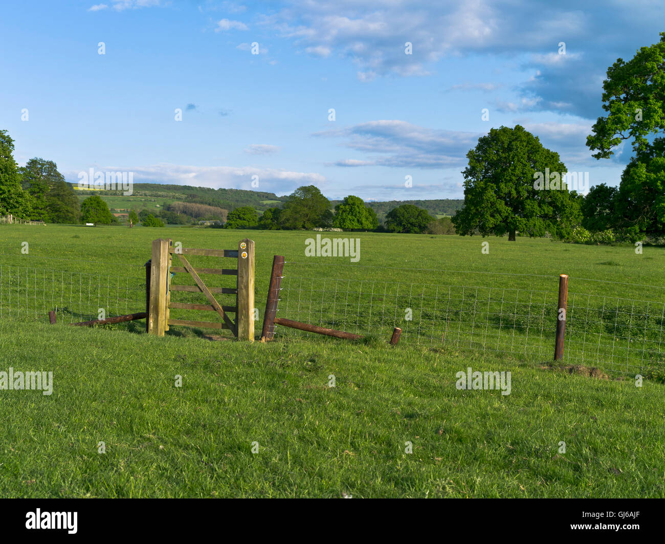 dh WINCHCOMBE GLOUCESTERSHIRE Wardens Way footpath Field gate uk cotswold Campagna cotswolds passeggiata recinto estivo Foto Stock