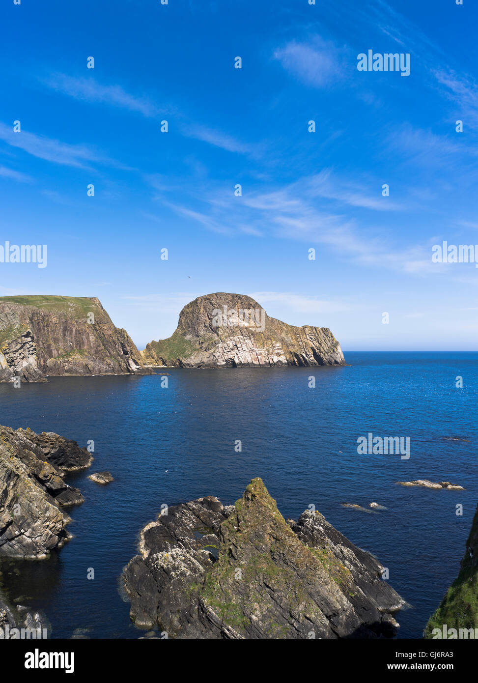 Dh pecore Rock FAIR ISLE SHETLAND grande mare pila Vaasetter Heelors le isole della Scozia Foto Stock