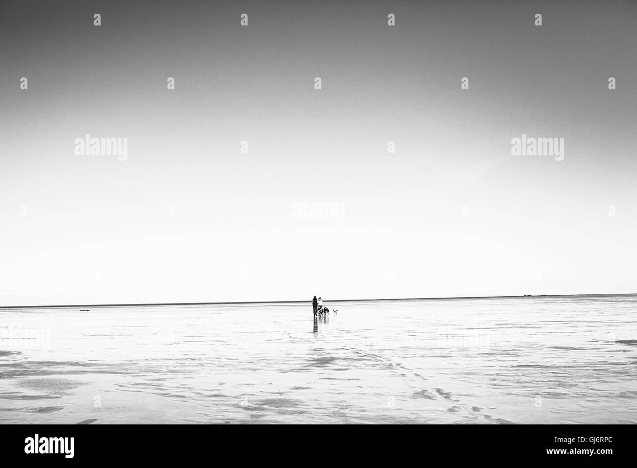 Coppia con cani sulla spiaggia di San Pietro Ording Foto Stock