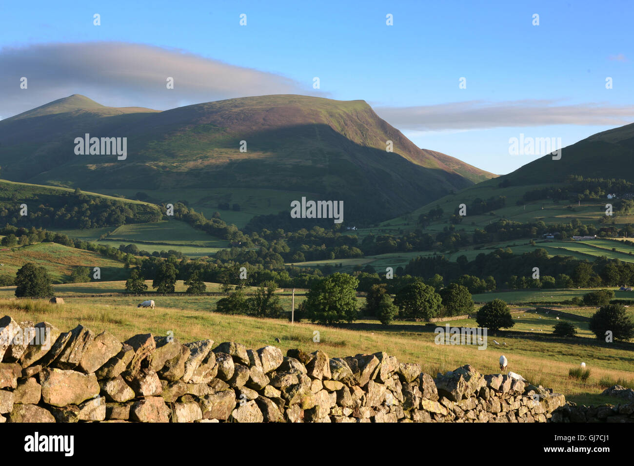 Il Greta Valley, Lonscale cadde e Skiddaw nella distanza, Lake District, Cumbria, Inghilterra Foto Stock