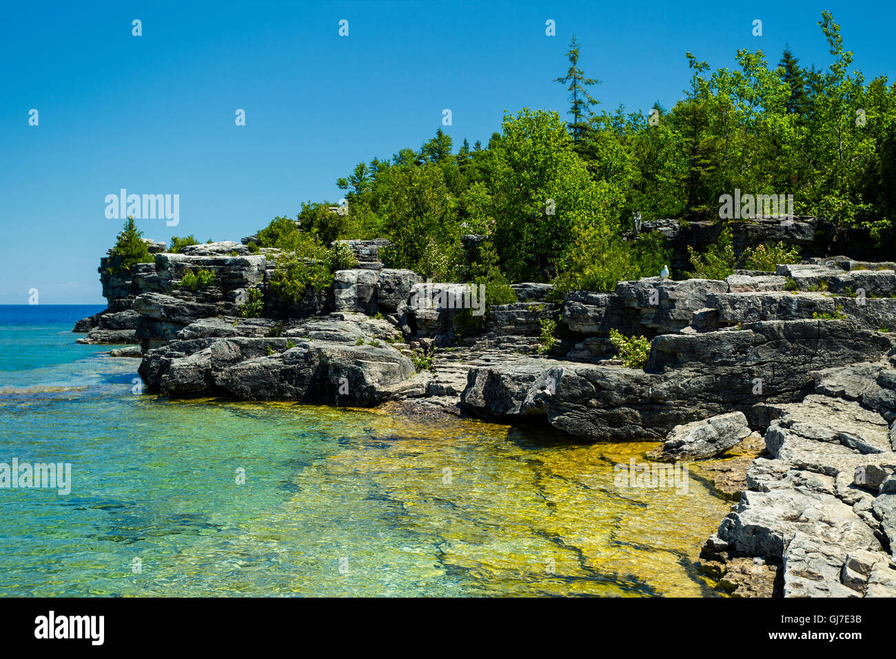 Bruce Penisola Parco Nazionale Georgian Bay Tobermory Ontario Canada Foto Stock