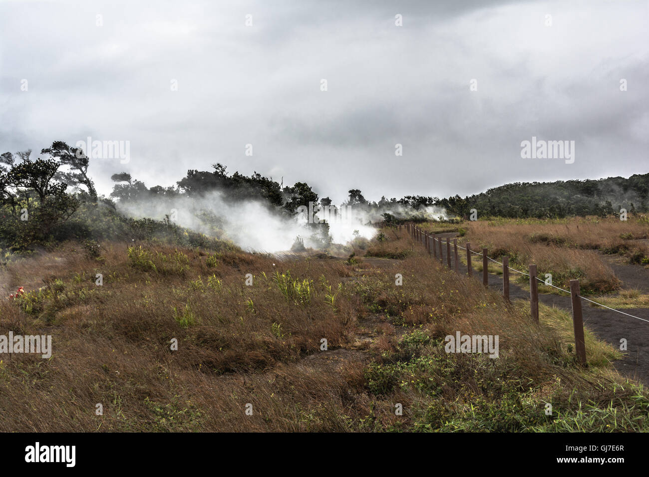 I gas vulcanici in Kilauea Parco Nazionale Vulcani, Big Island delle Hawaii, Foto Stock