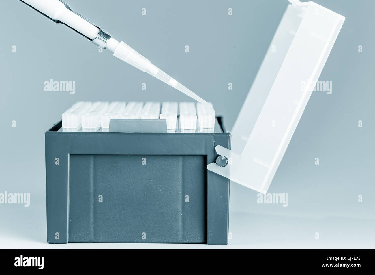 Pipettare nel laboratorio di microbiologia, close up Foto Stock