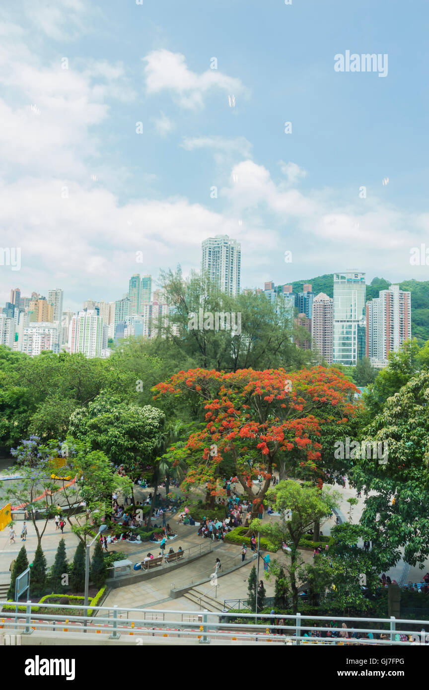 Hong Kong, Cina - 22 Maggio 2016: skyline con area verde Foto Stock