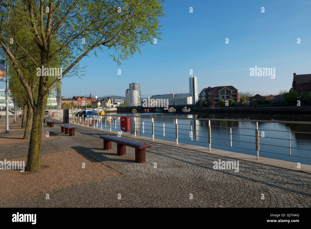 Vista di ritorno a Belfast dal sentiero Lagan Foto Stock