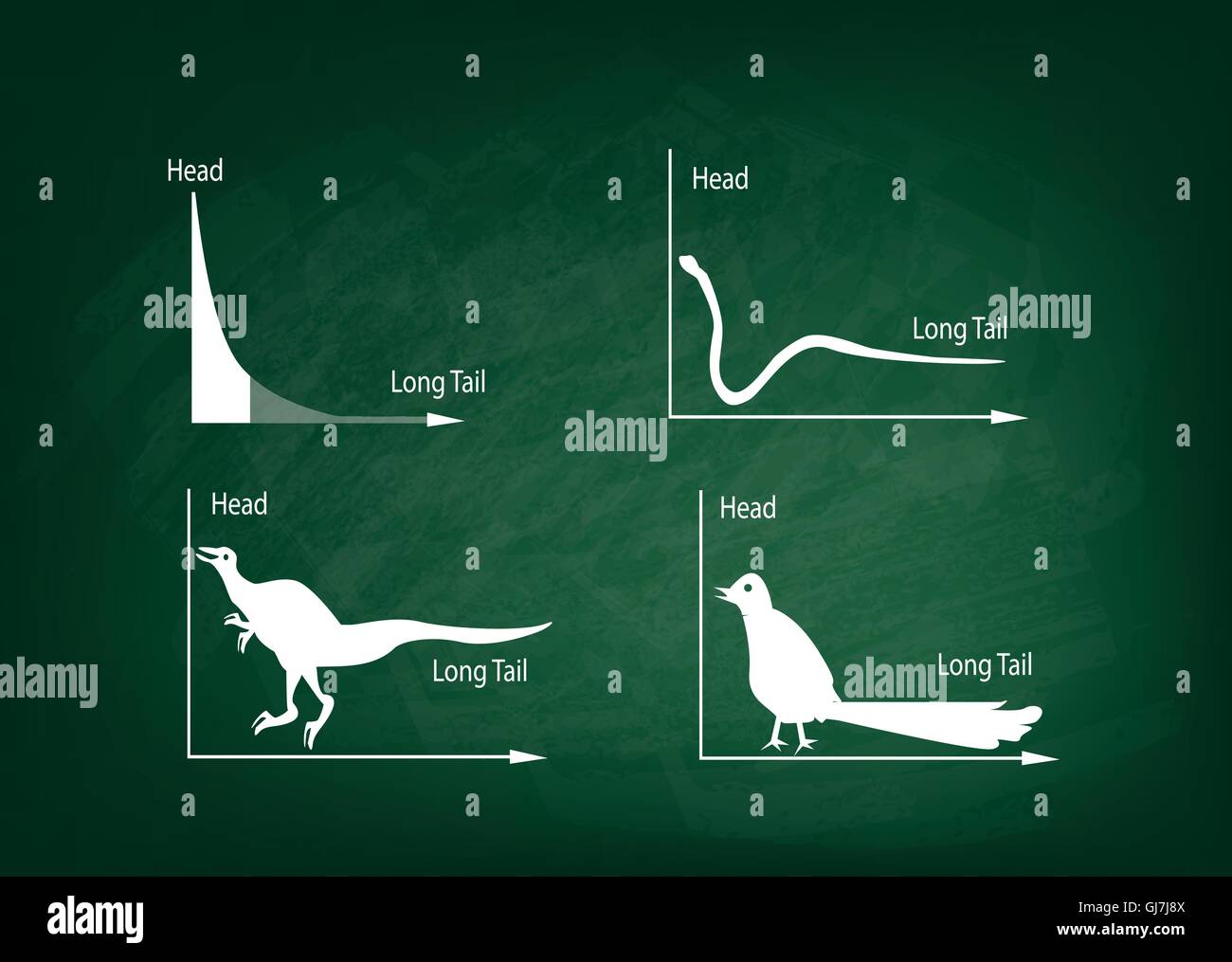 Tabelle e grafici, illustrazione Cartoon animale di grasso croci e la lunga coda di distribuzioni grafico su una lavagna sfondo. Illustrazione Vettoriale