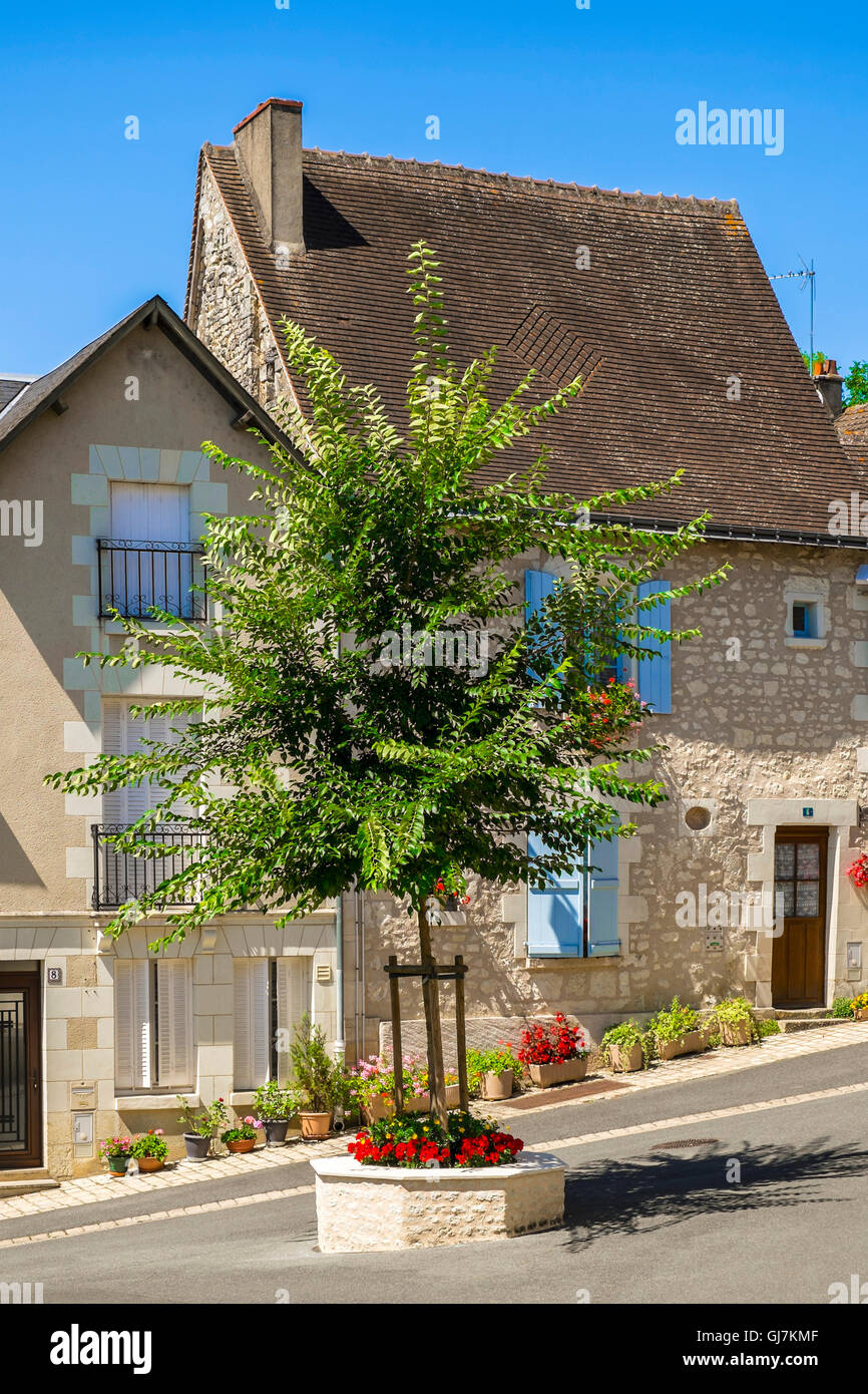 Acacia albero piantato su mini rotatoria in strada, Preuilly-sur-Claise - Francia. Foto Stock