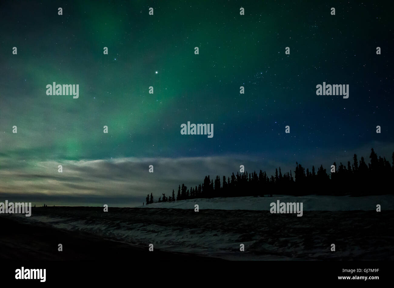 Aurora spazzati verso il basso in nuvole che coprono un Alaskan forest Foto Stock