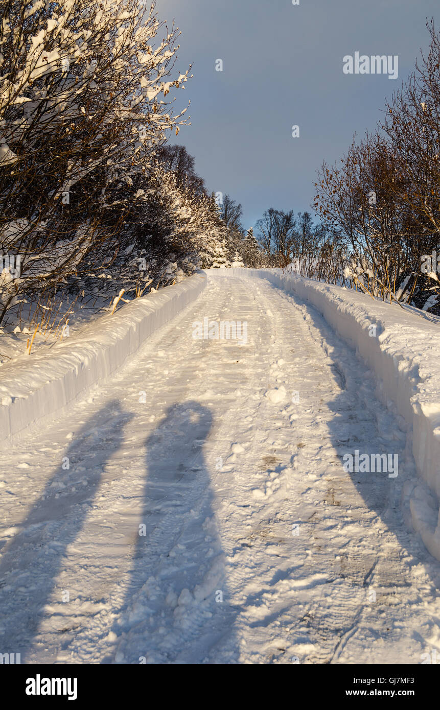 Appena cancellato carraio mostra neve profonda in un luminoso Alaskan inverno mattina Foto Stock