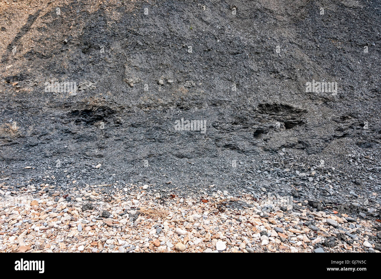 Una scaffalatura leggermente la spiaggia di ghiaia e sabbia tra alte scogliere e il mare, ben noto per il numero di fossili trovati lì Foto Stock