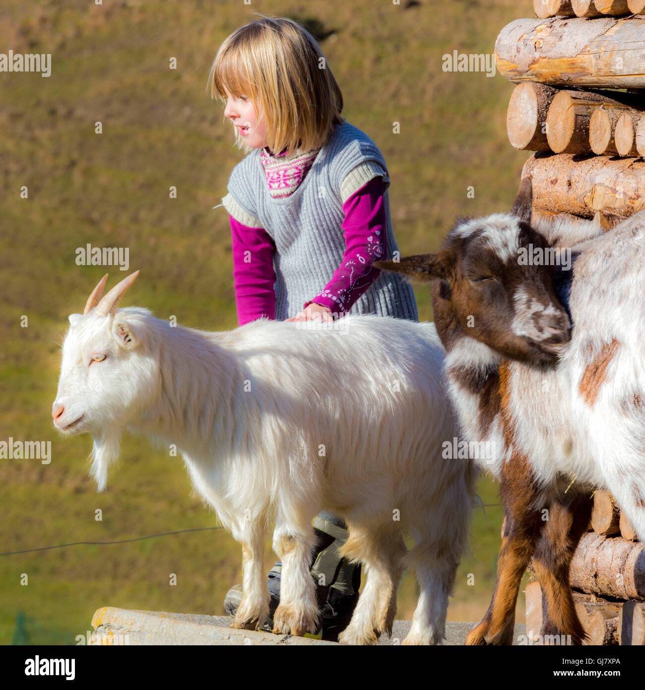 Bambino sull'alp, in Germania, in Baviera, Algovia, Seeg, Foto Stock