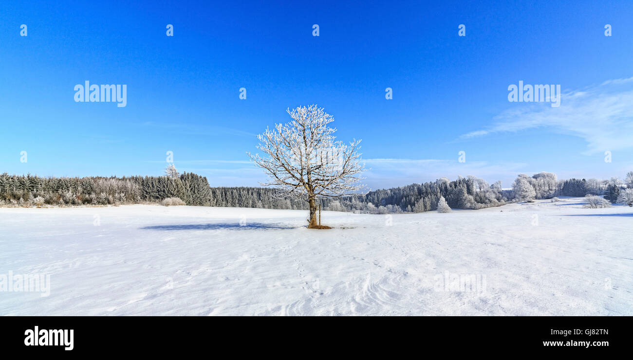 In Germania, in Baviera, Algovia, Svevia, inverno, la neve Foto Stock