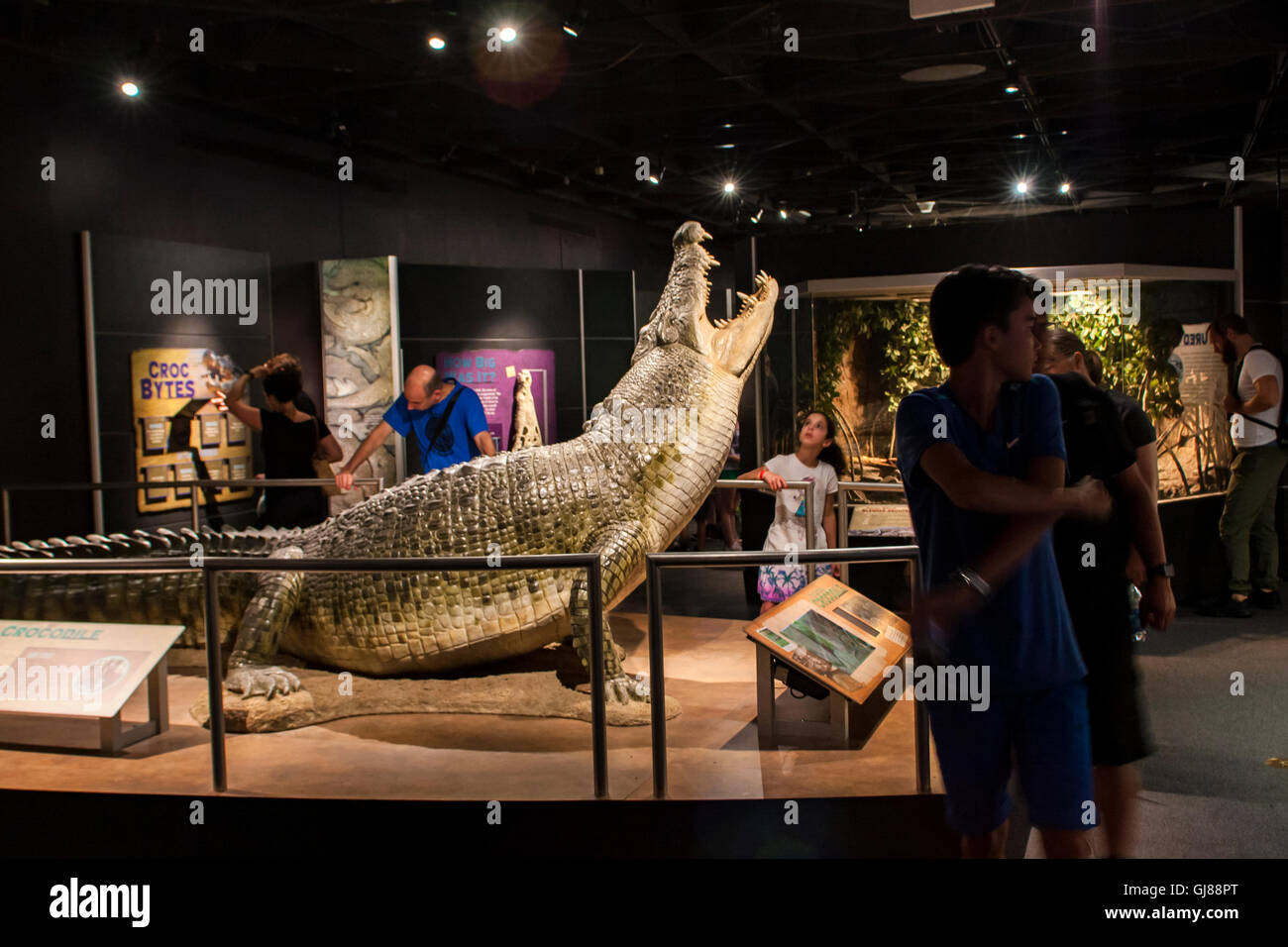 Persone non identificate al Museo Americano di Storia Naturale di New York. Foto Stock