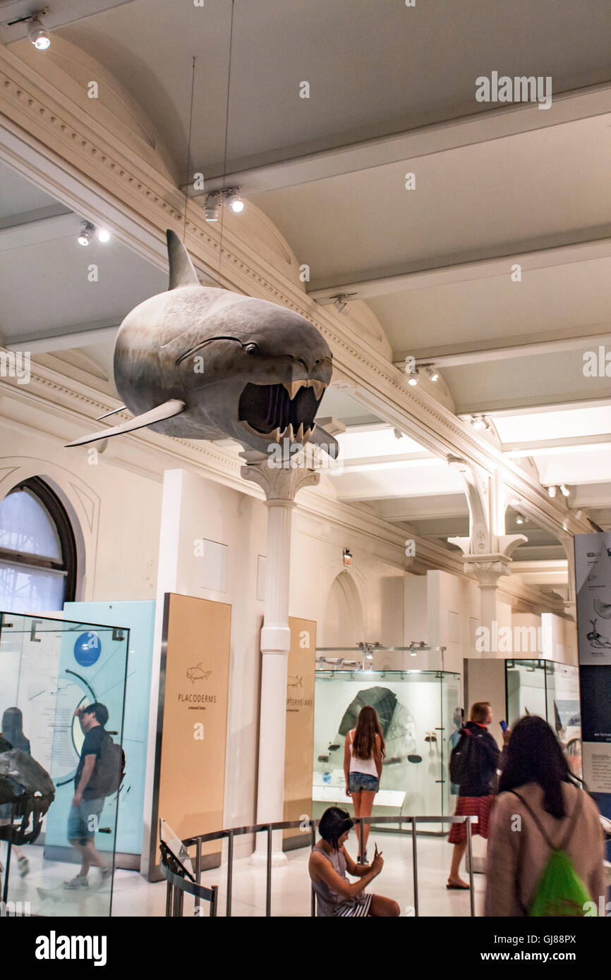 Persone non identificate al Museo Americano di Storia Naturale di New York Foto Stock