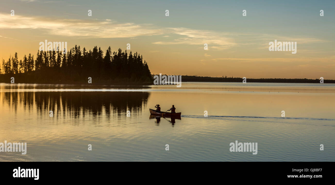 Elk Island National Park, Alberta Foto Stock