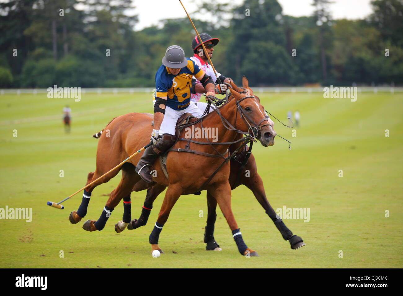 Ascot Berkshire, Regno Unito. 14 Ago, 2016. Il 2 obiettivo finale del torneo è stata tra arte asiatica e Emsworth Polo motivi Credito: Uwe Deffner/Alamy Live News Foto Stock