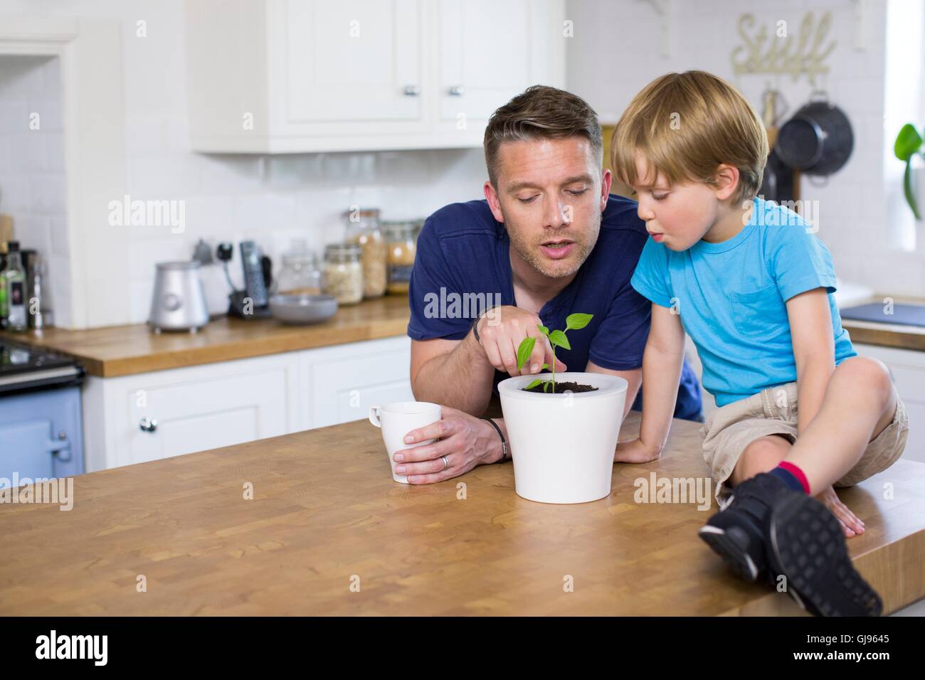 Proprietà rilasciato. Modello rilasciato. Padre e figlio guardando alla pianta in vaso. Foto Stock