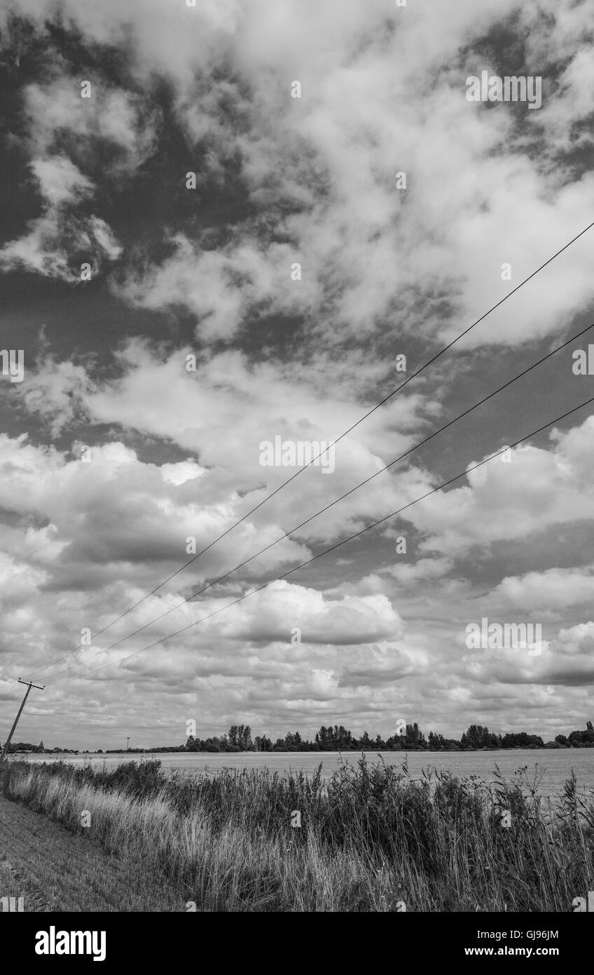 Estate cloudscape al di sopra di un campo di grano in estate e mostra anche i cavi di alimentazione sospesa da una potenza piegata pole. Foto Stock