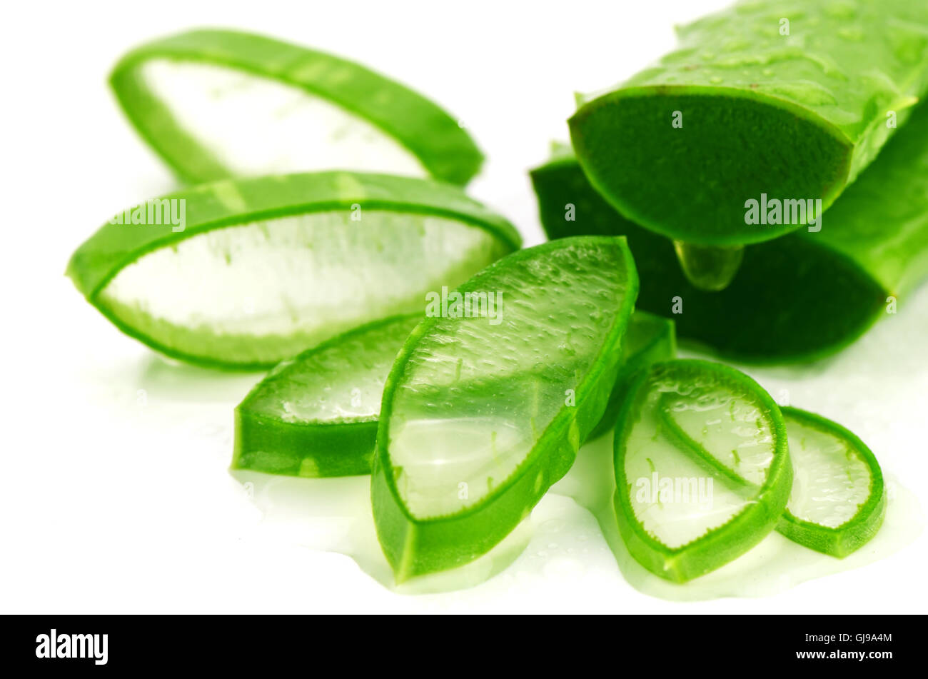 Affettare aloe (Aloe barbadensis Mill.,Star cactus, Aloe, aloina, Jafferabad o Barbados) molto utile la medicina di erbe per la pelle Foto Stock