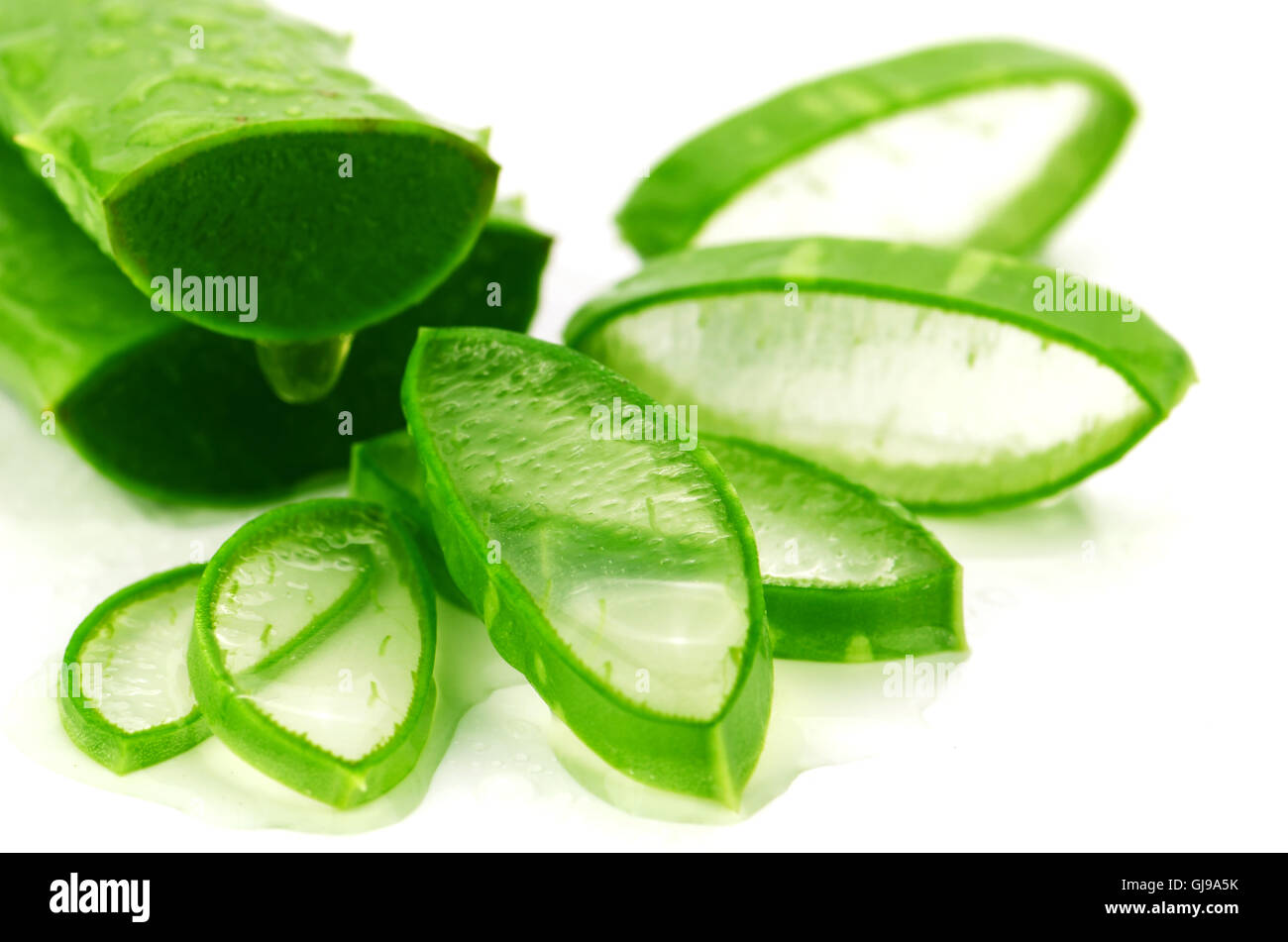 Affettare aloe (Aloe barbadensis Mill.,Star cactus, Aloe, aloina,  Jafferabad o Barbados) molto utile la medicina di erbe per la pelle Foto  stock - Alamy