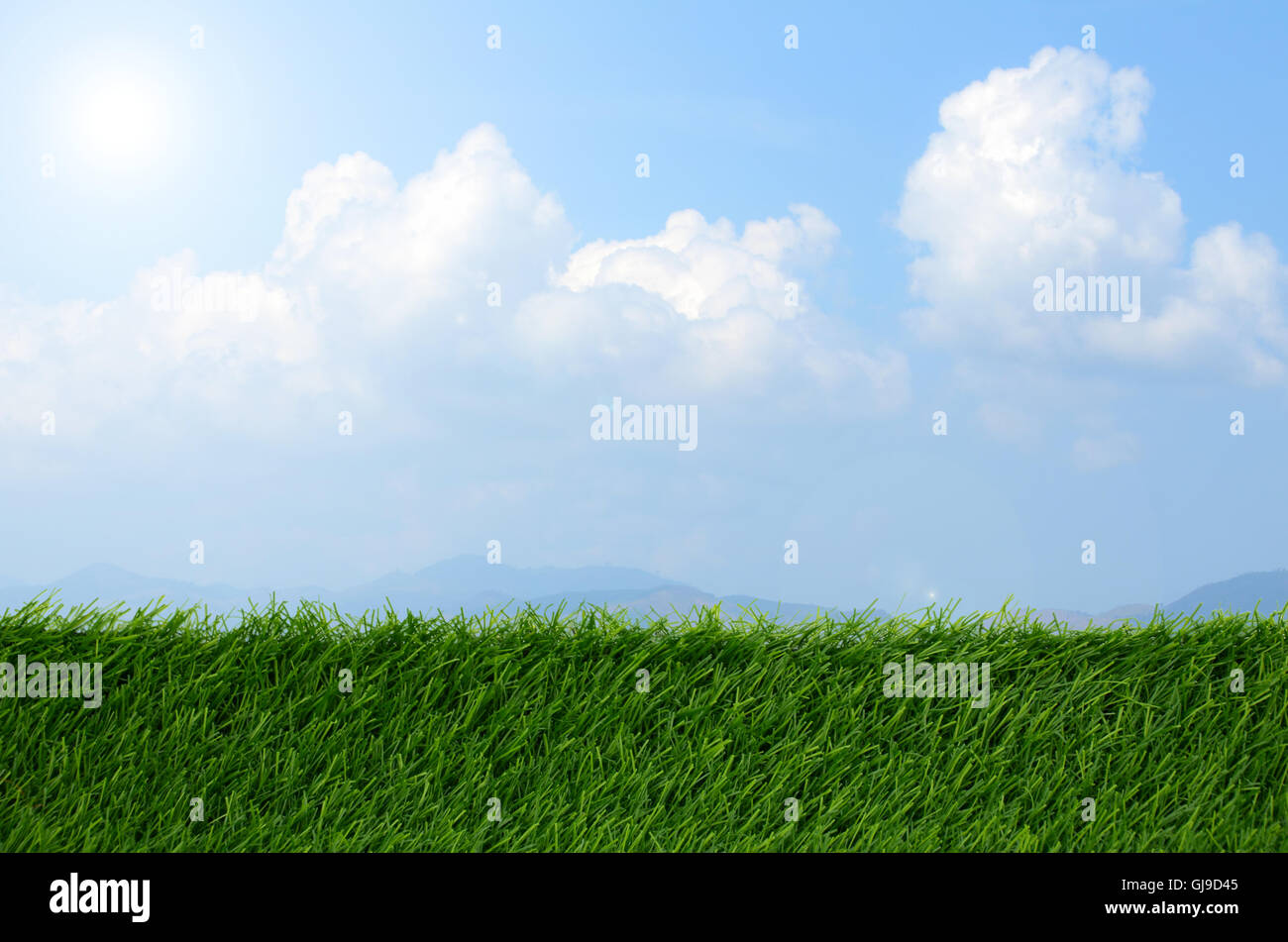 Campo di calcio con il cielo luminoso. Foto Stock