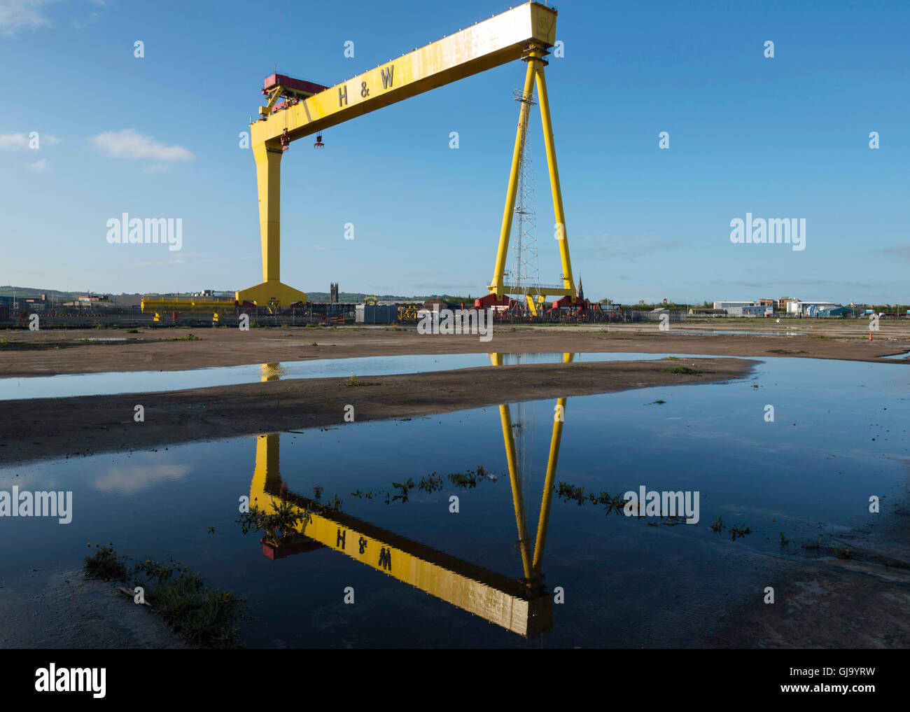 Gru Samson e Goliath di proprietà dei famigerati costruttori di navi Harland e Wolff, Belfast Foto Stock