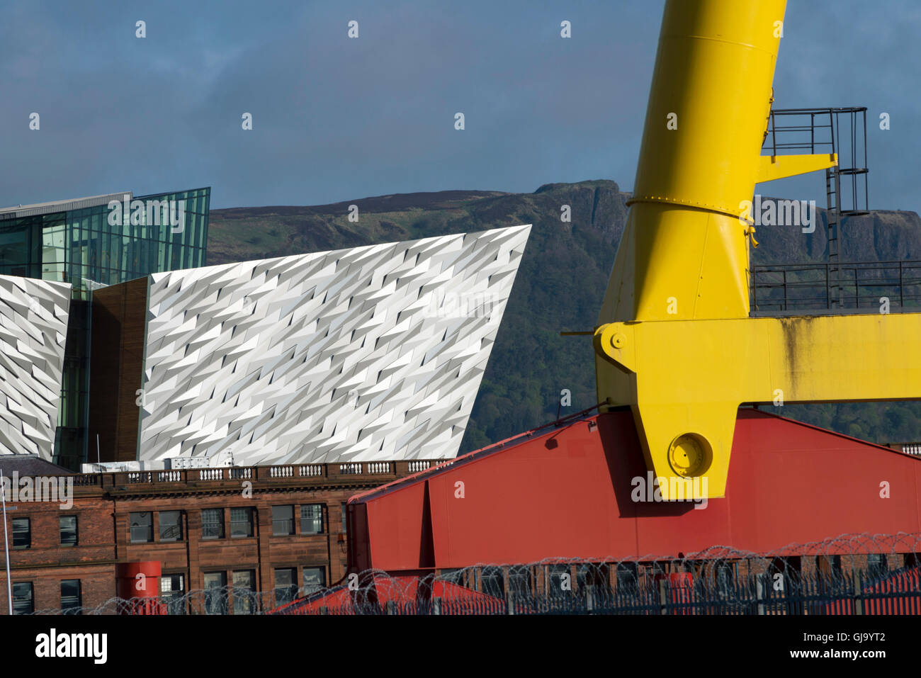 Gru Samson e Goliath di proprietà dei famigerati costruttori di navi Harland e Wolff, Belfast Foto Stock