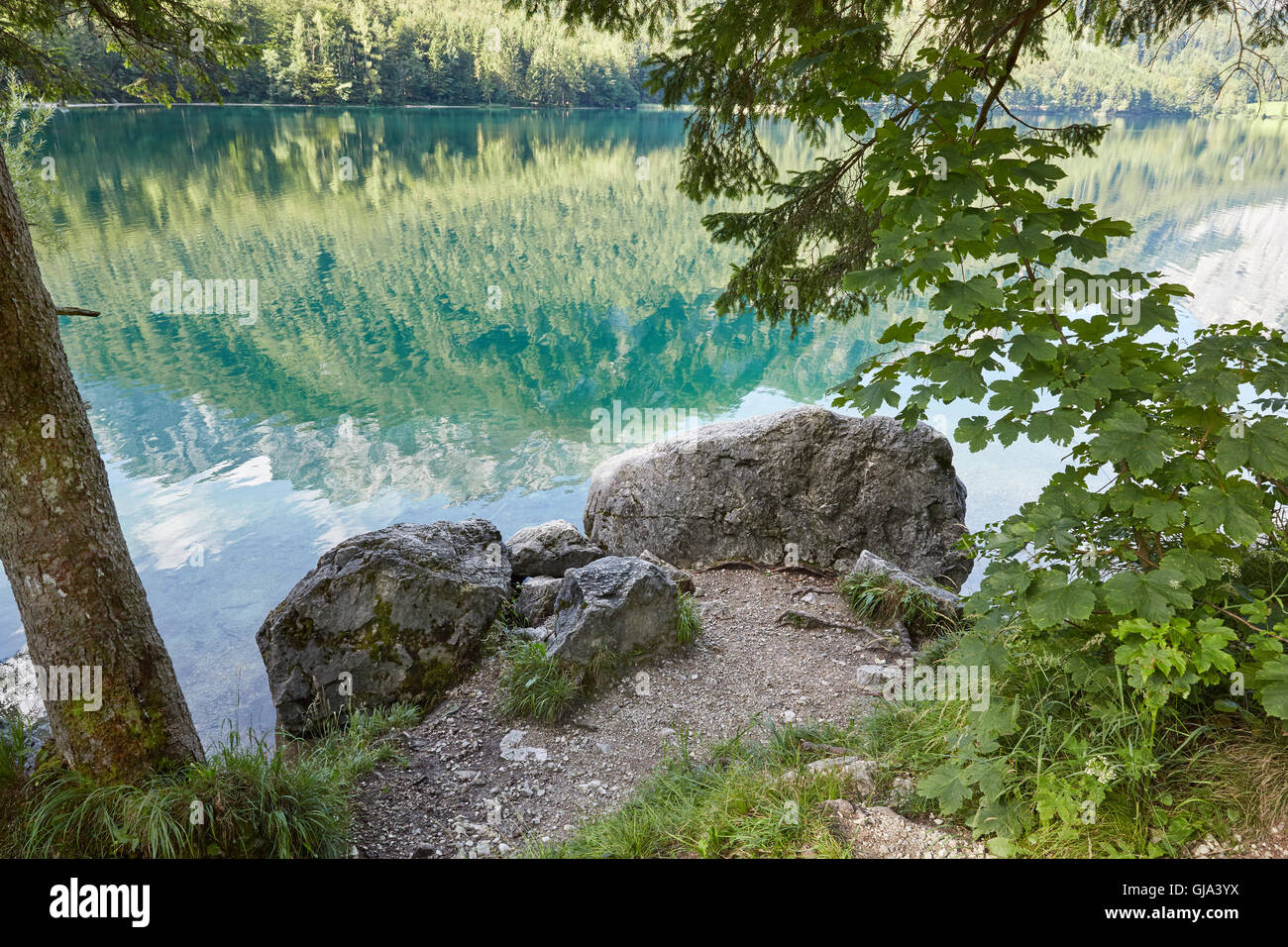 Pietre e alberi di fronte a bella Vorderer Langbathsee in Austria, Salzkammergut Foto Stock