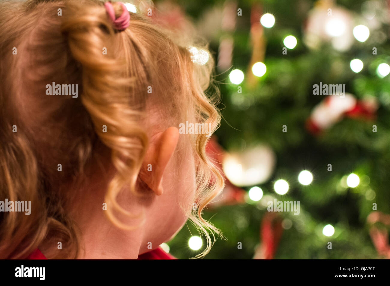 Ragazza giovane guardando un albero di Natale tutto pronto per il grande giorno Foto Stock